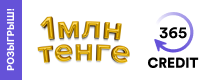 Credit365 KZ logo