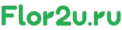 flor2u.ru logo
