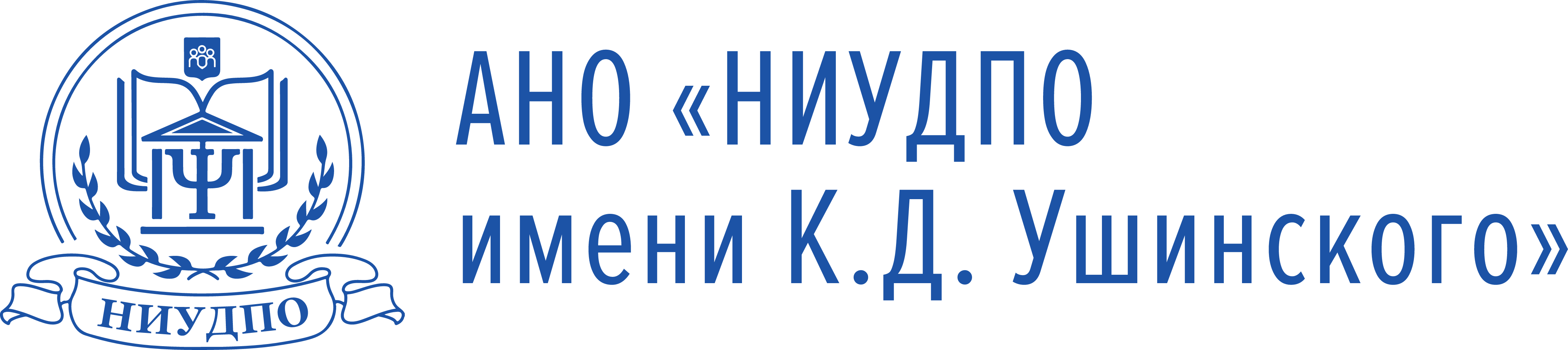 niidpo.ru logo