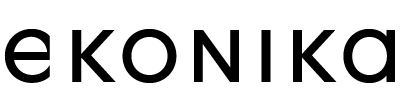 ekonika.ru logo