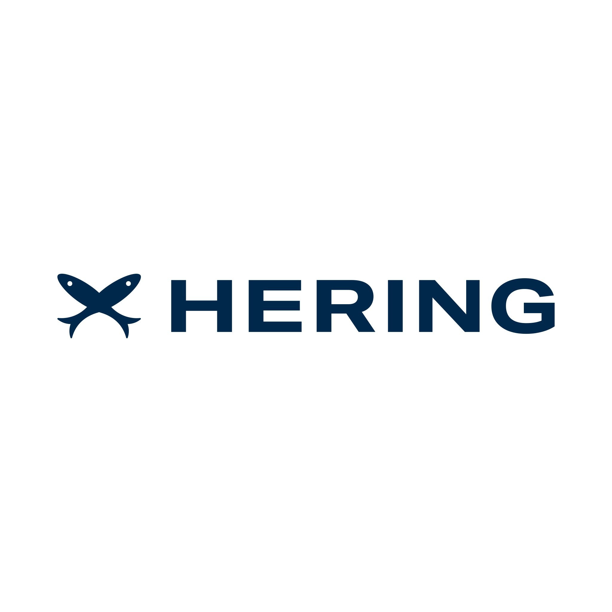 Hering Brazil logo