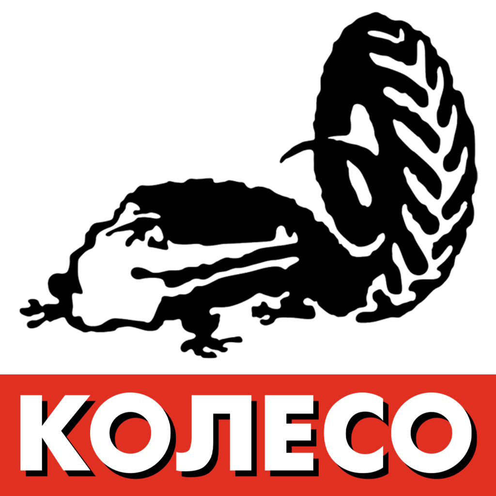 koleso.ru logo